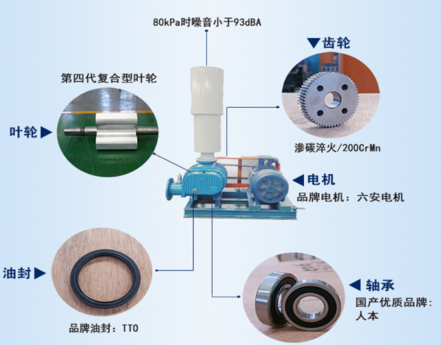 章丘豐源機械羅茨鼓風機產(chǎn)品結(jié)構說明圖 章丘豐源機械羅茨鼓風機產(chǎn)品結(jié)構說明圖