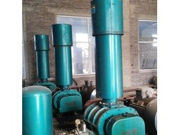 豐源氣化羅茨風(fēng)機(jī)用于國(guó)電蓬萊發(fā)電廠(chǎng)運(yùn)行成功